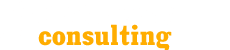 Socionics consulting